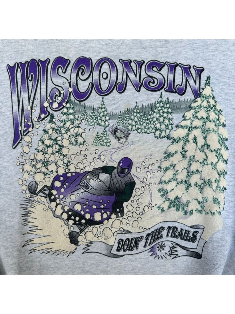Vintage 90s Wisconsin Snowmobile Sweatshirt Gray L Gorpcore Outdoor Motorsport - Picture 2 of 8